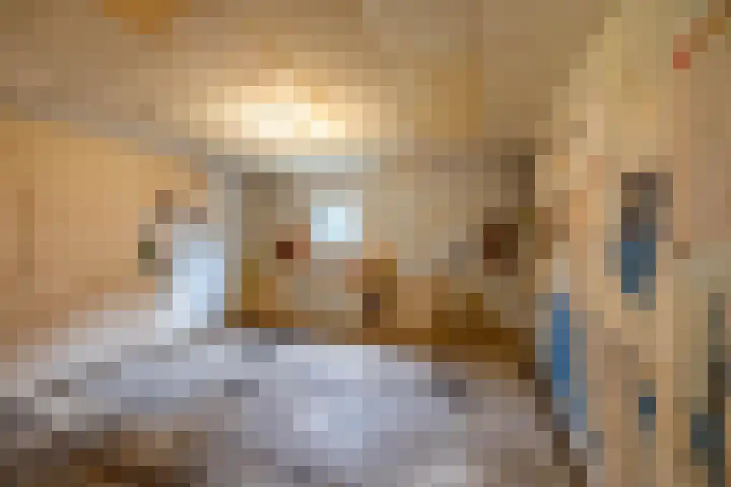 Couperusstraat 37 Groningen thumbnail 25