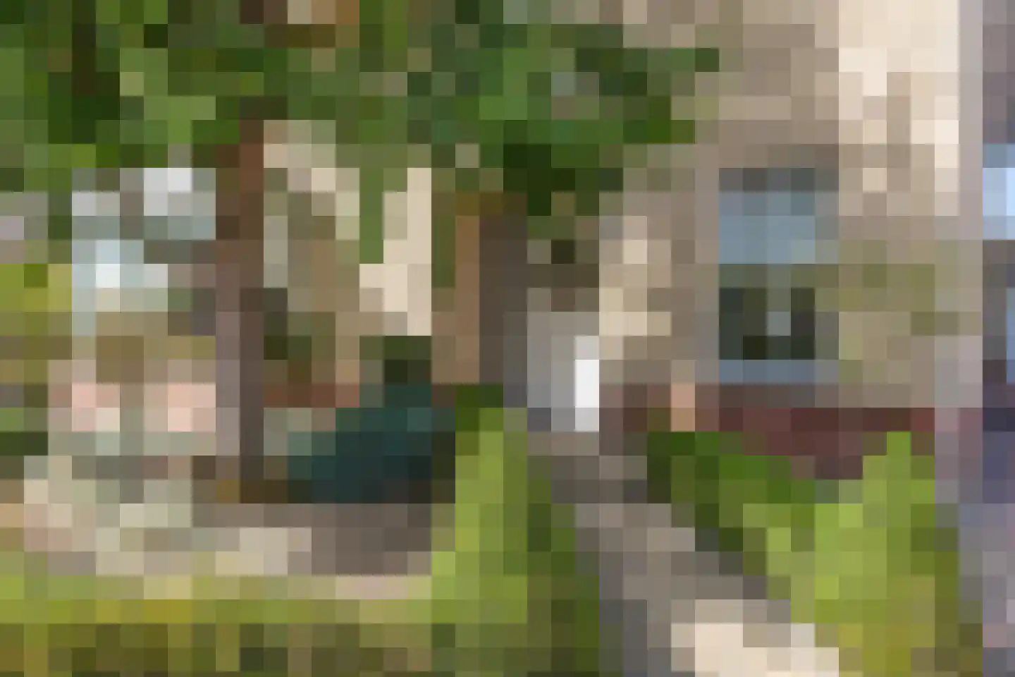 Couperusstraat 4 Brunssum thumbnail 10
