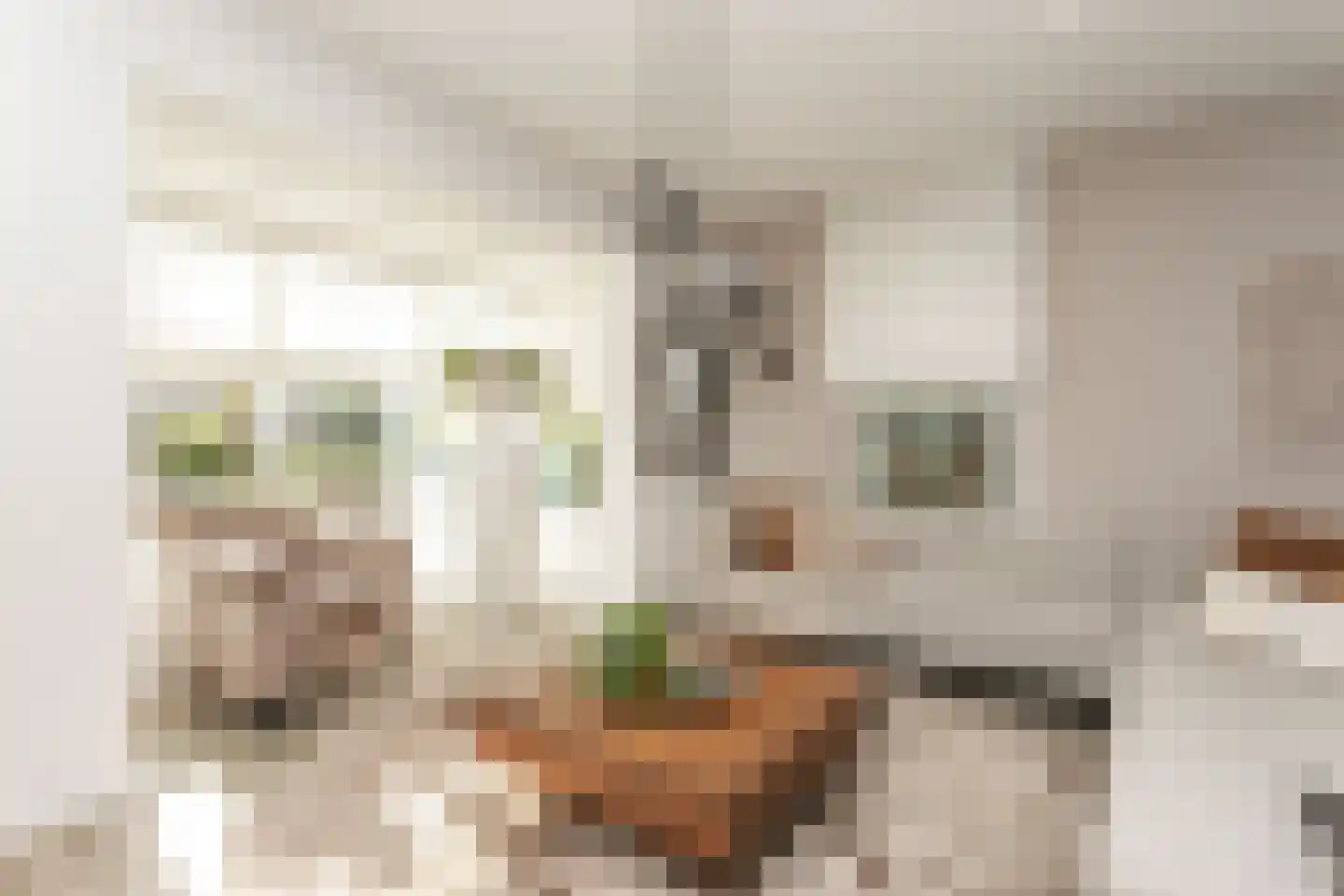 Couperusstraat 4 Brunssum thumbnail 15