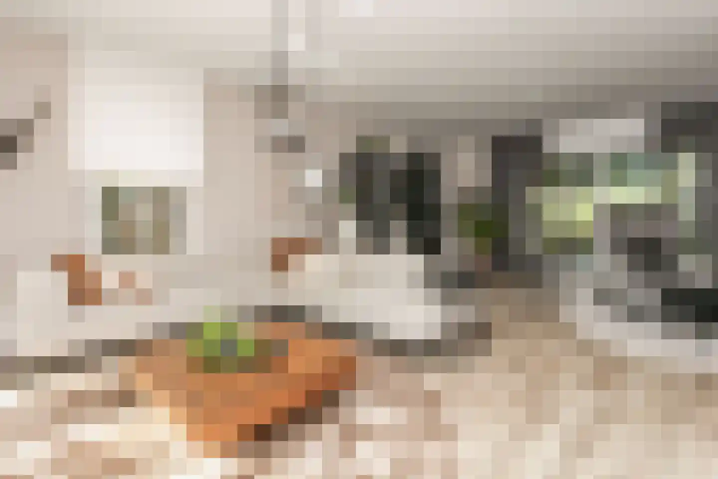 Couperusstraat 4 Brunssum thumbnail 16