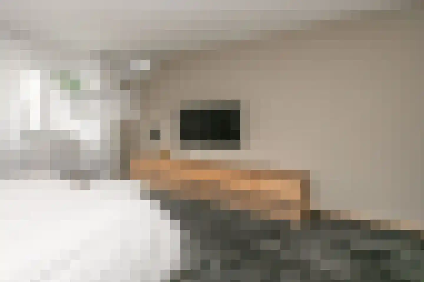 Couperusstraat 4 Brunssum thumbnail 38