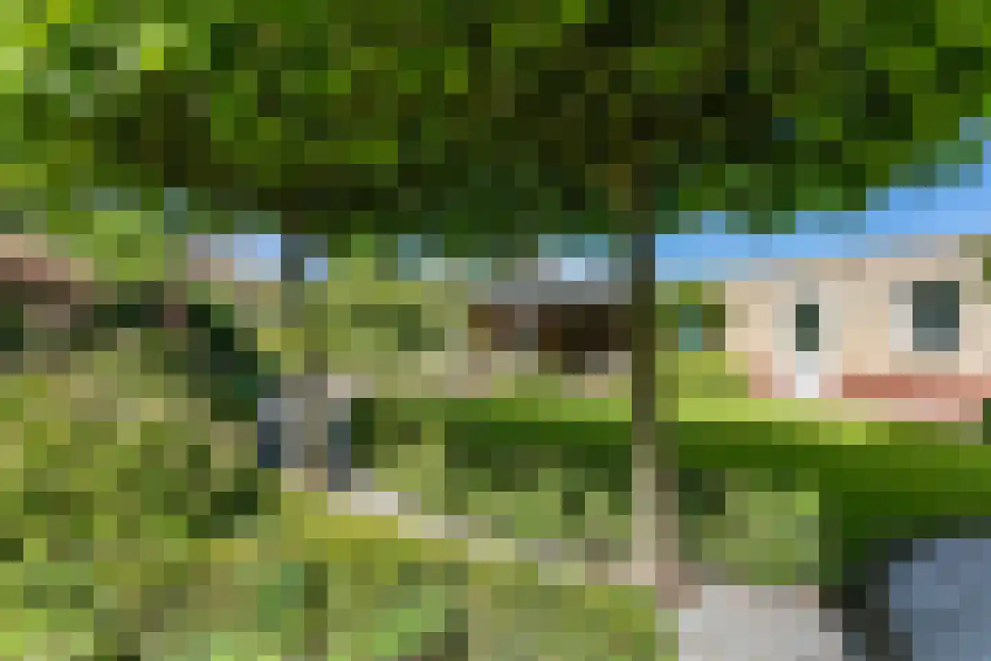 Couperusstraat 4 Brunssum thumbnail 61