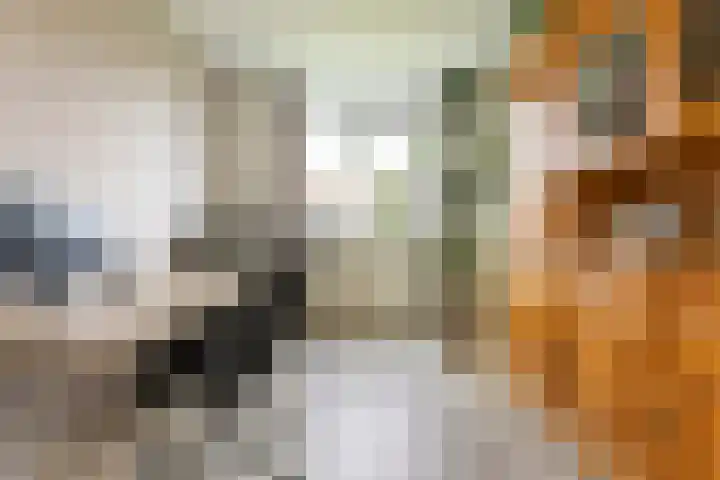 Couperusstraat 41 Groningen thumbnail 16