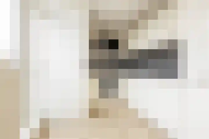Couperusstraat 41 Groningen thumbnail 18