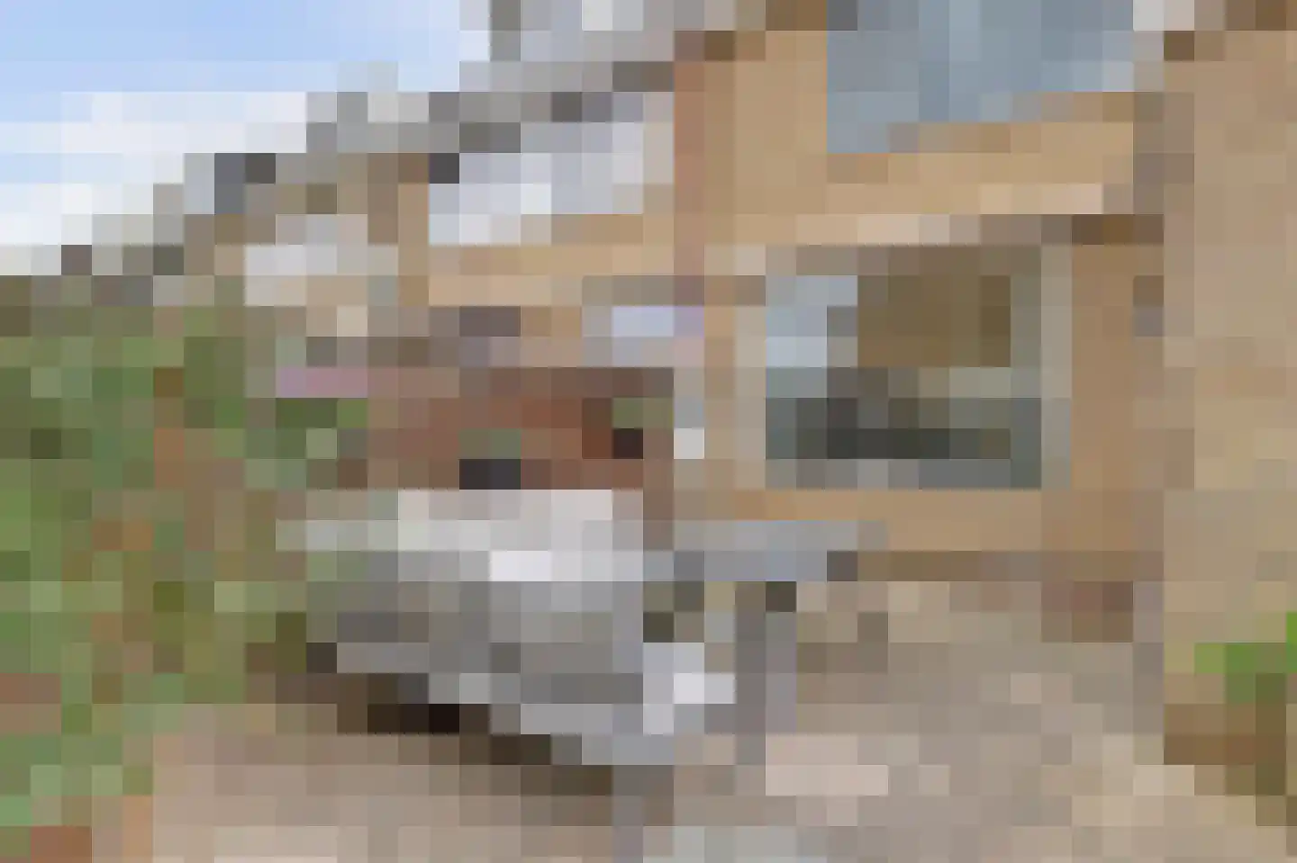 Couperusstraat 48 Ridderkerk thumbnail 38