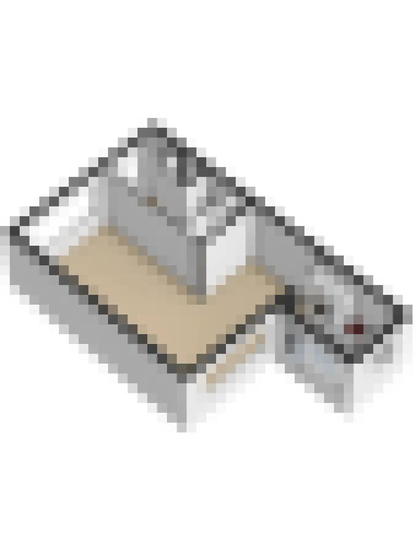 Couperusstraat 48 Ridderkerk thumbnail 55