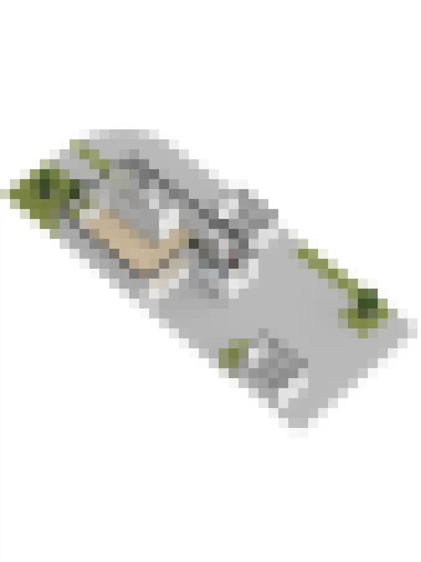 Couperusstraat 48 Ridderkerk thumbnail 61