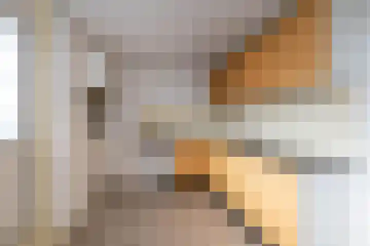 Couperusstraat 54 Groningen thumbnail 20