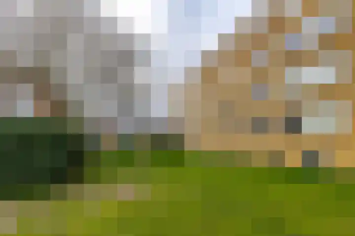 Couperusstraat 54 Groningen thumbnail 29