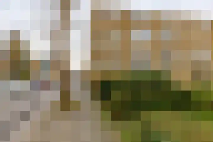 Couperusstraat 54 Groningen thumbnail 30