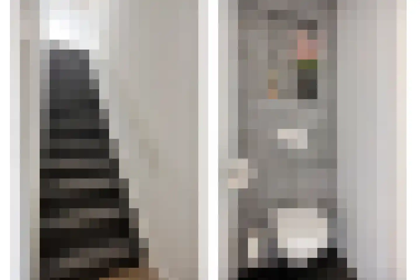 Couperusstraat 6 Arnhem thumbnail 27
