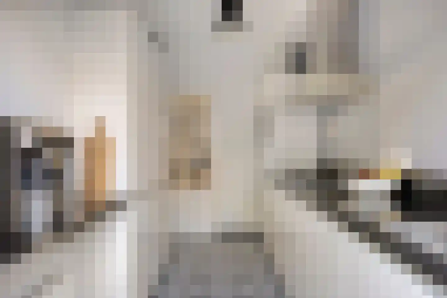 Couperusstraat 6 Arnhem thumbnail 4