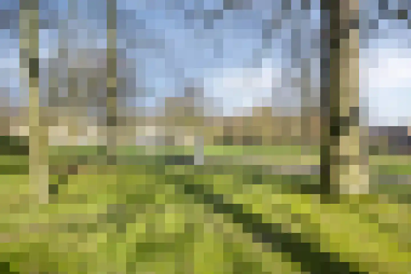 Couperusstraat 6 Arnhem thumbnail 41