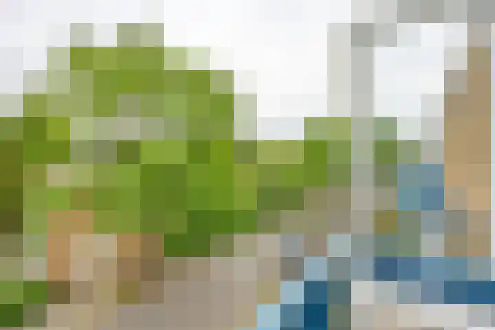 Couperusstraat 77 Groningen thumbnail 8