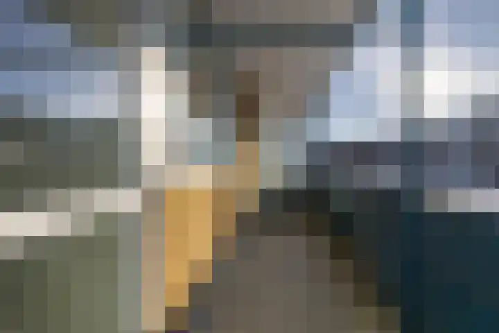 Couperusstraat 93 Groningen thumbnail 15