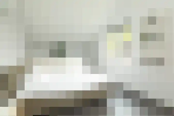 Couperusstraat 93 Groningen thumbnail 37
