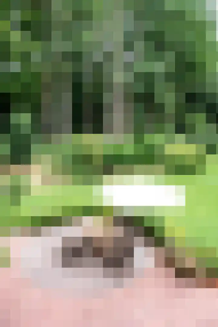Couperusstraat 93 Groningen thumbnail 38