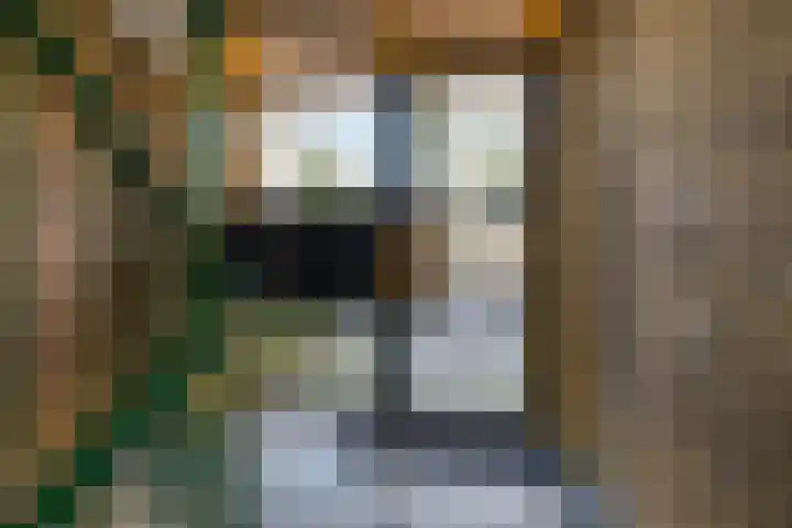 Couperusstraat 93 Groningen thumbnail 4