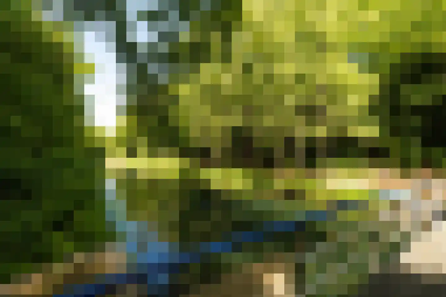 Couperusweg 1 A Hilversum thumbnail 23