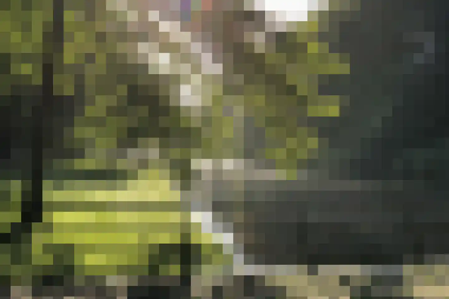 Couperusweg 1 A Hilversum thumbnail 24