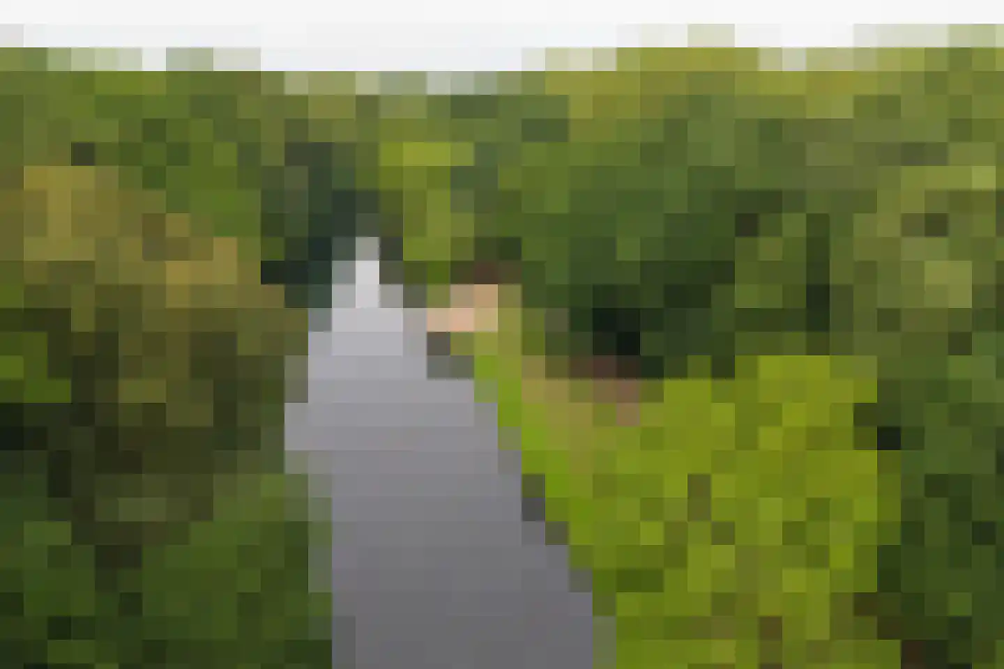 Couperusweg 1 A Hilversum thumbnail 26