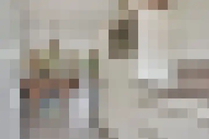 Coupletweg 30 Rosmalen thumbnail 12