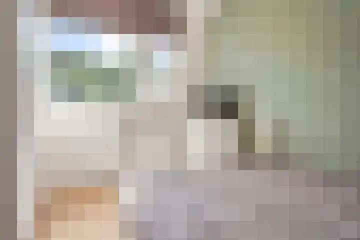 Coupletweg 30 Rosmalen thumbnail 18