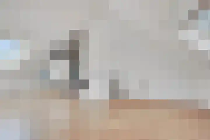 Coupletweg 30 Rosmalen thumbnail 23