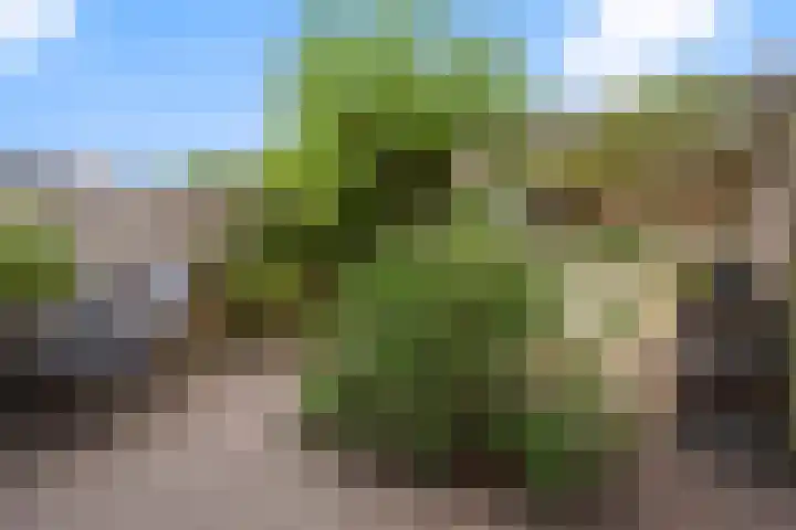 Coupletweg 30 Rosmalen thumbnail 26