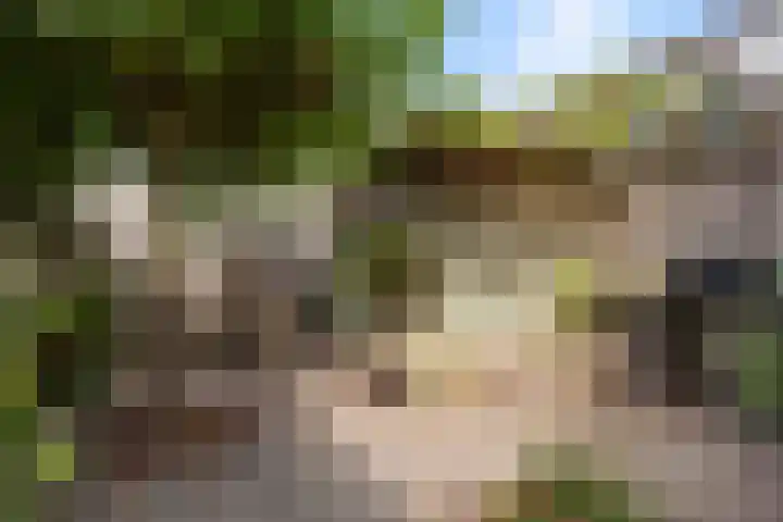 Coupletweg 30 Rosmalen thumbnail 27