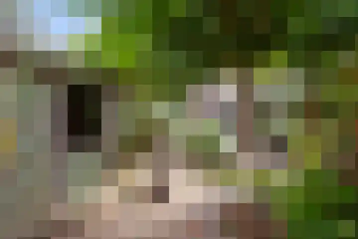 Coupletweg 30 Rosmalen thumbnail 28