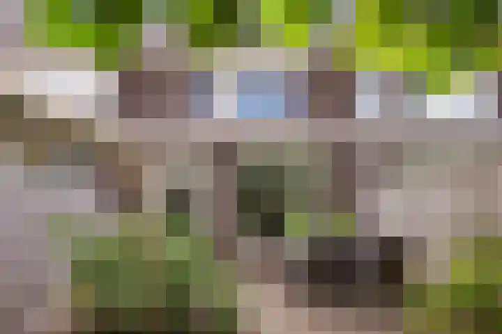 Coupletweg 30 Rosmalen thumbnail 29