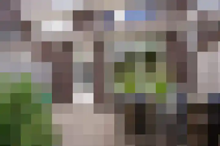 Coupletweg 30 Rosmalen thumbnail 30