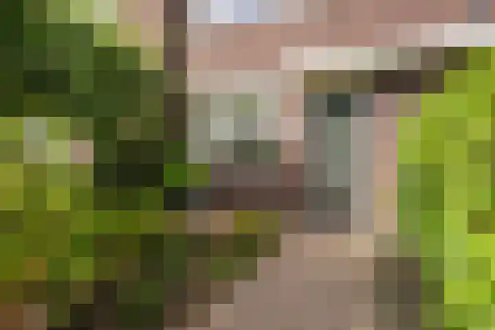 Coupletweg 30 Rosmalen thumbnail 31