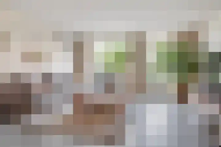 Coupletweg 30 Rosmalen thumbnail 4