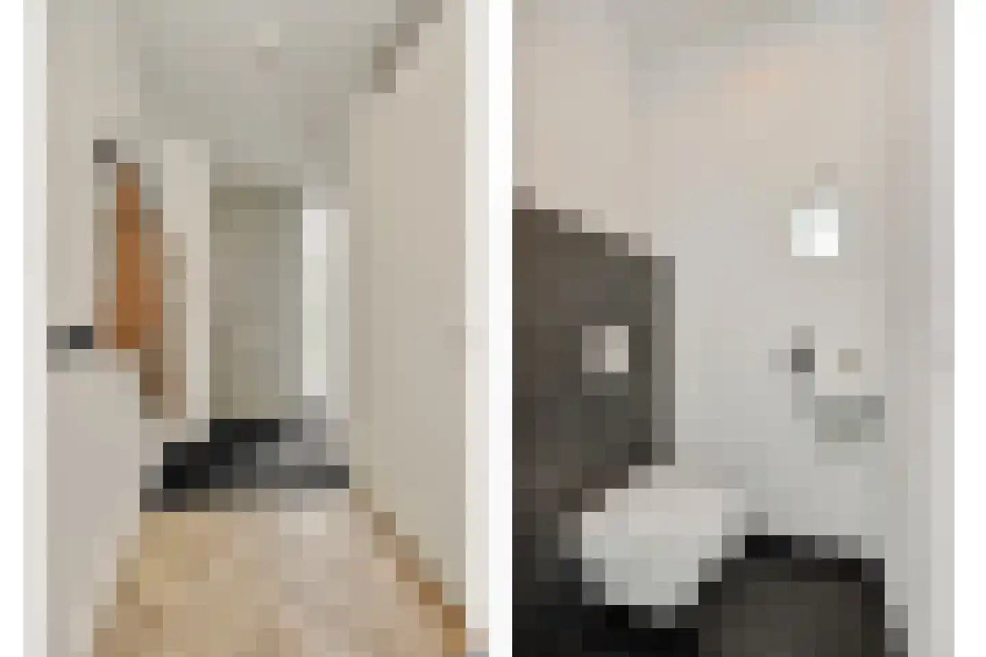 Coupletweg 48 Rosmalen thumbnail 11