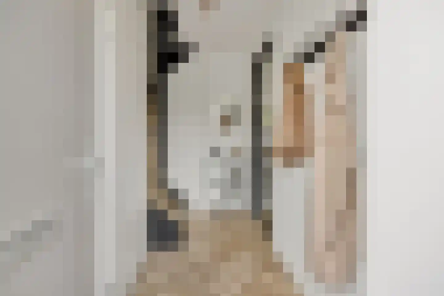 Coupletweg 48 Rosmalen thumbnail 12