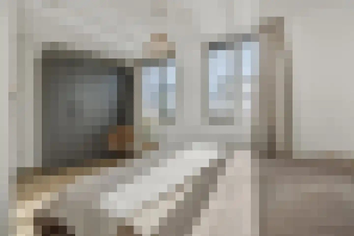 Coupletweg 48 Rosmalen thumbnail 14