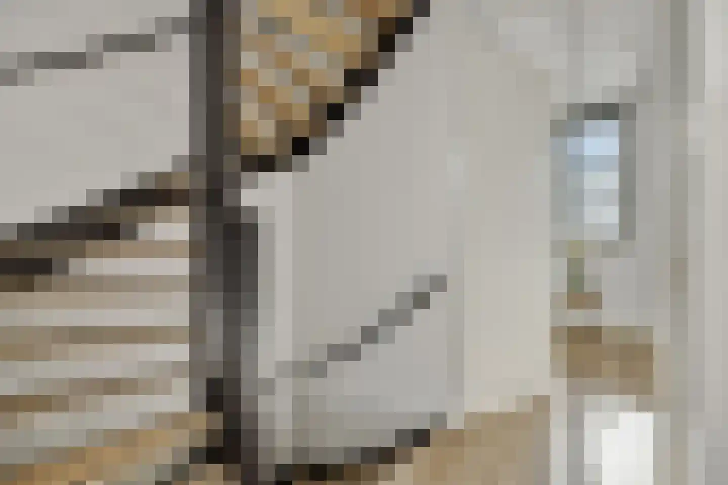 Coupletweg 48 Rosmalen thumbnail 21