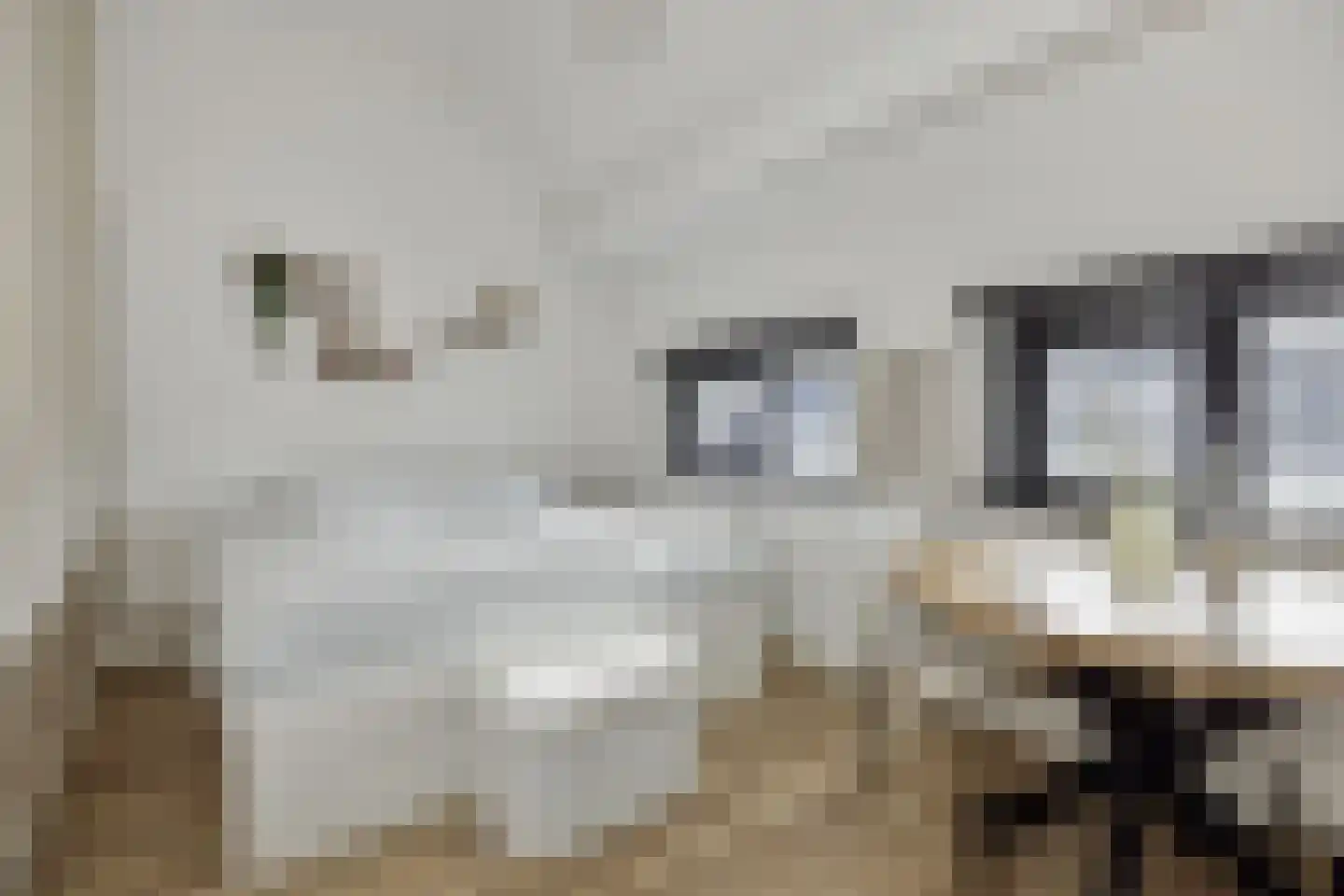Coupletweg 48 Rosmalen thumbnail 22