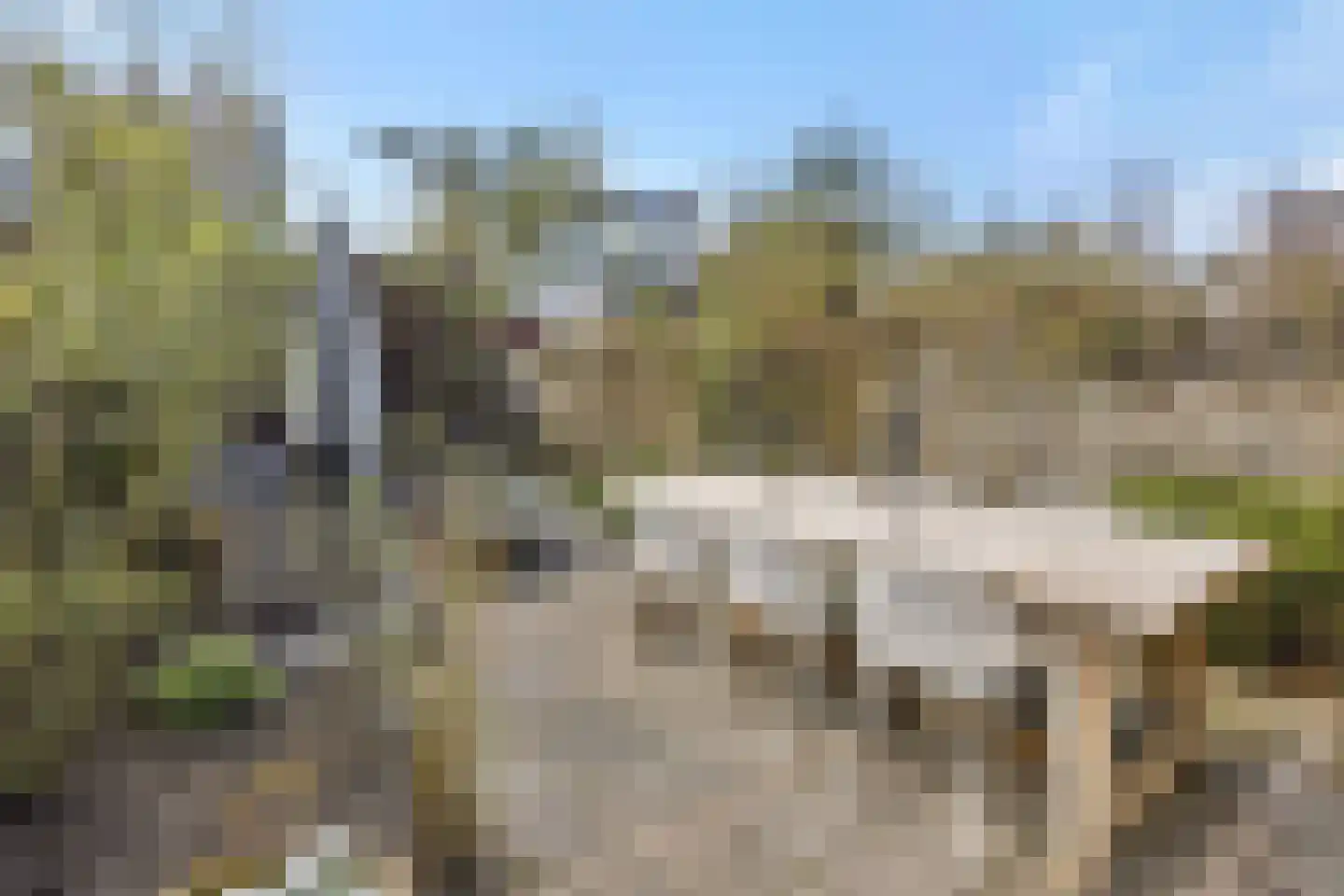 Coupletweg 48 Rosmalen thumbnail 27