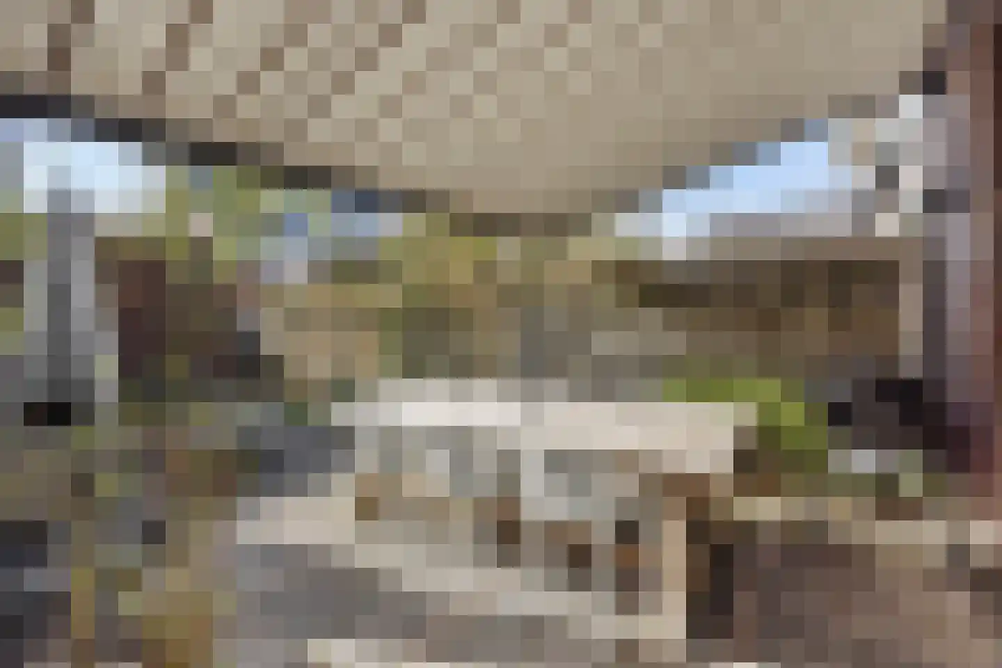 Coupletweg 48 Rosmalen thumbnail 30