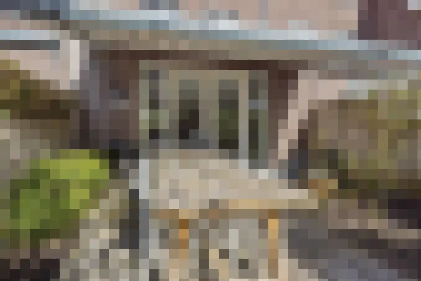Coupletweg 48 Rosmalen thumbnail 31