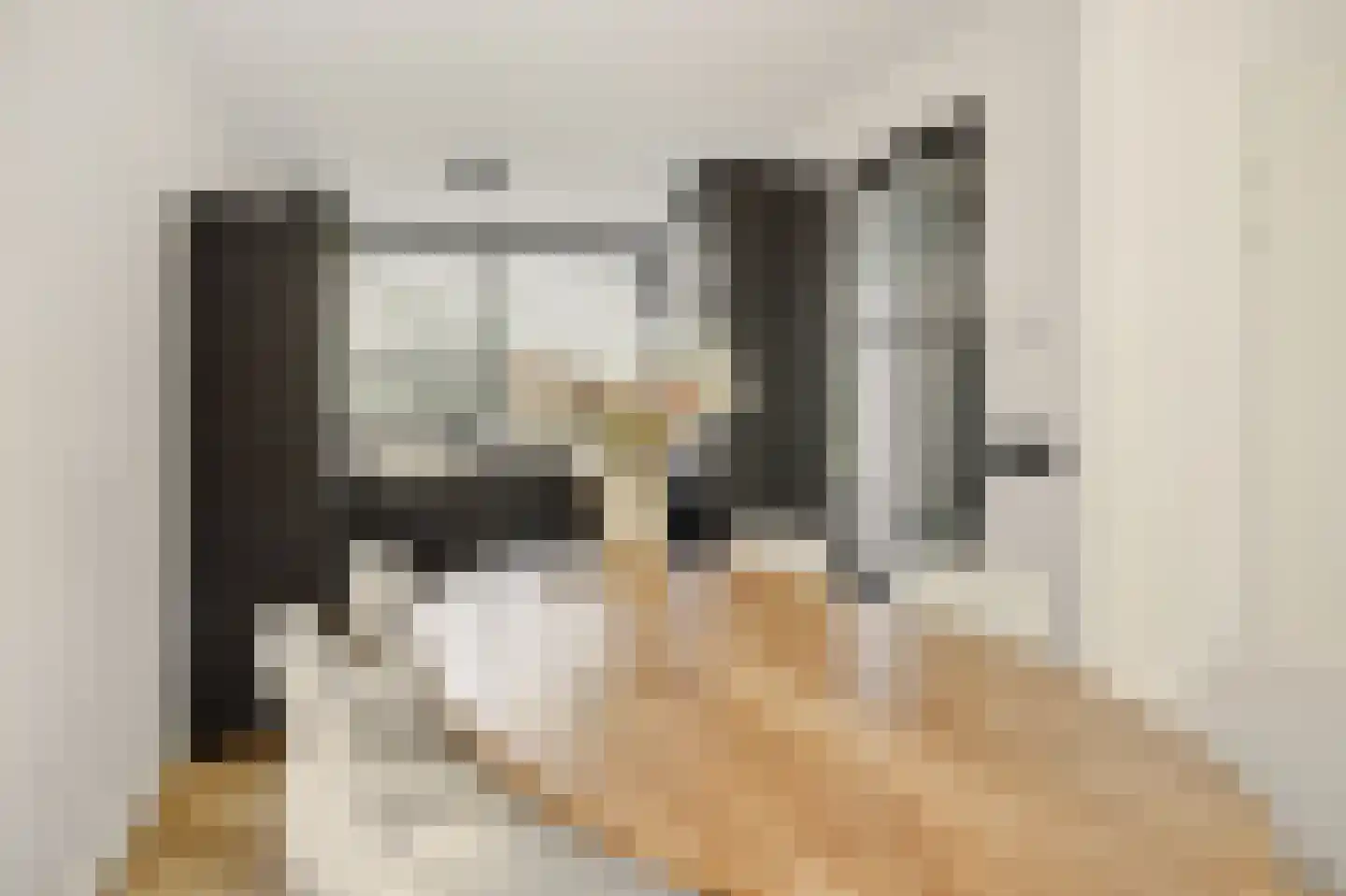 Coupletweg 48 Rosmalen thumbnail 7