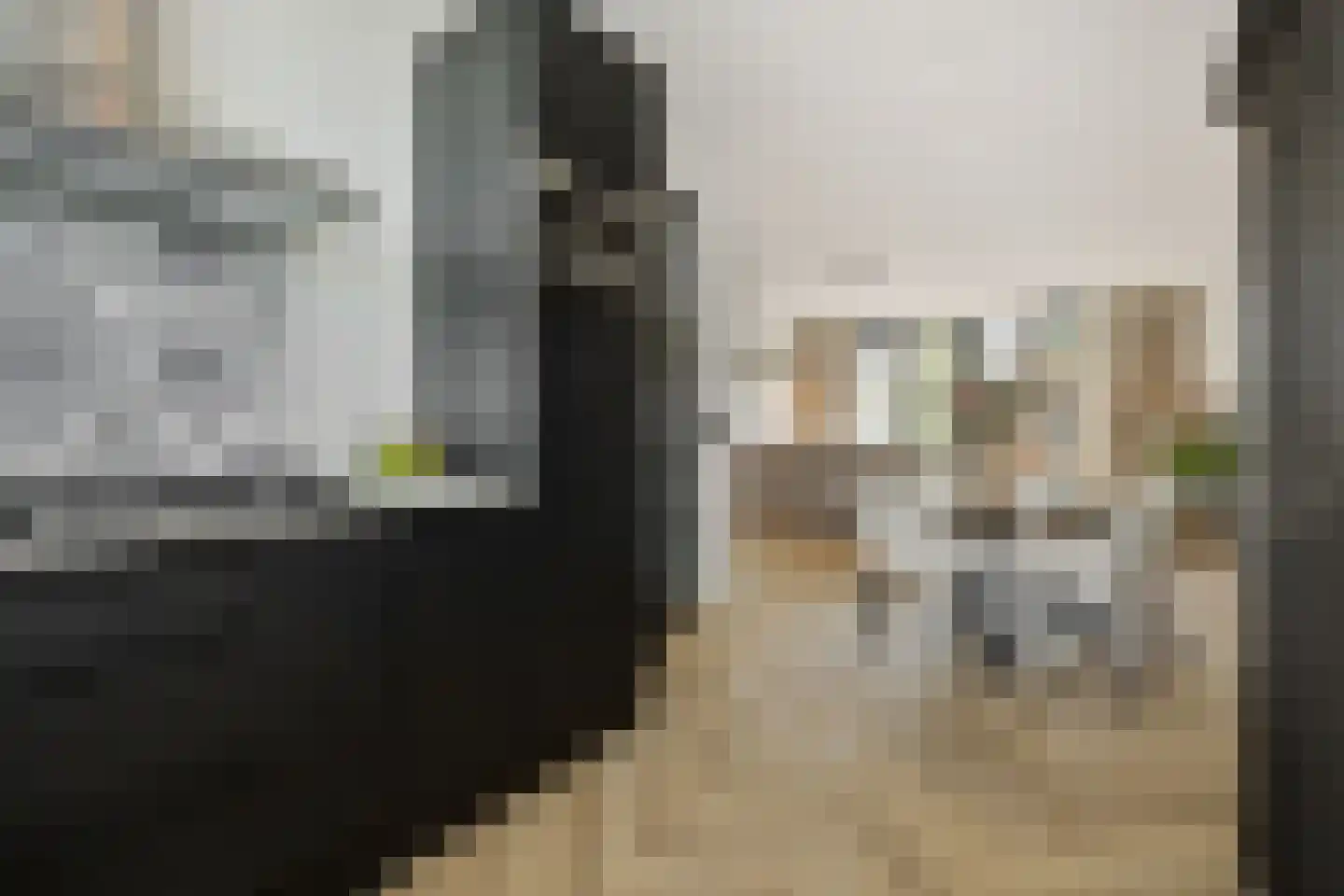 Coupletweg 48 Rosmalen thumbnail 8