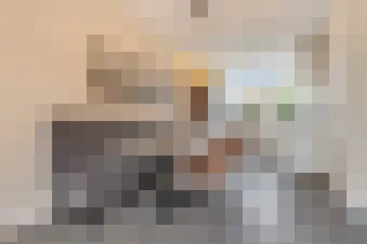 Coupletweg 56 Rosmalen thumbnail 10