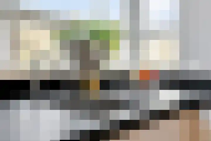 Coupletweg 56 Rosmalen thumbnail 12