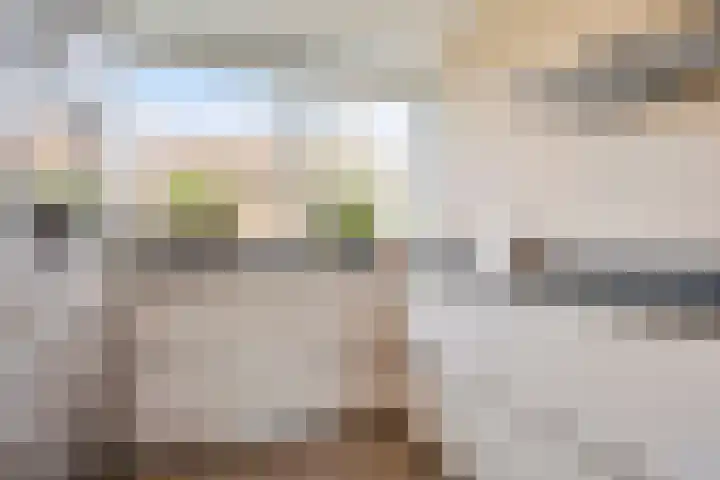 Coupletweg 56 Rosmalen thumbnail 13