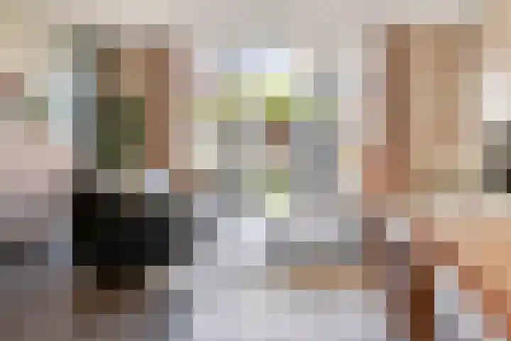 Coupletweg 56 Rosmalen thumbnail 15