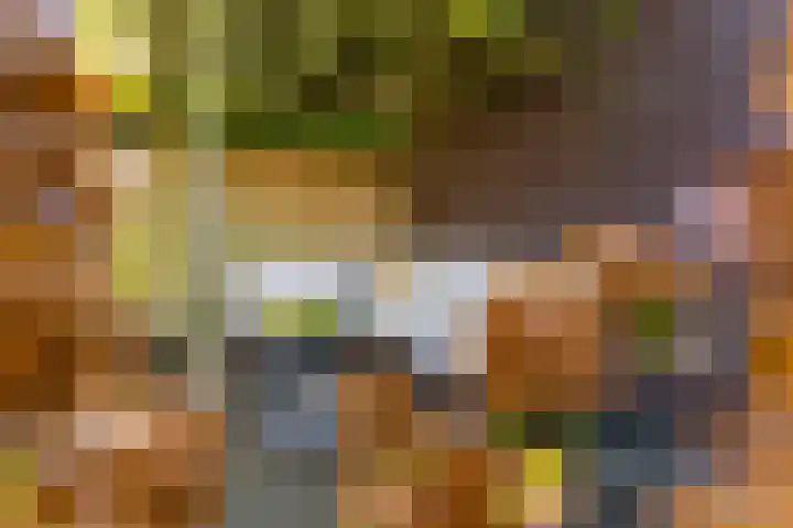 Coupletweg 56 Rosmalen thumbnail 17